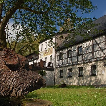Waldgasthof & Hotel Am Sauwald Tannenberg Extérieur photo