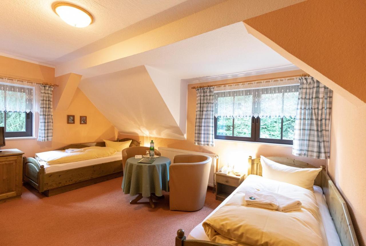 Waldgasthof & Hotel Am Sauwald Tannenberg Extérieur photo