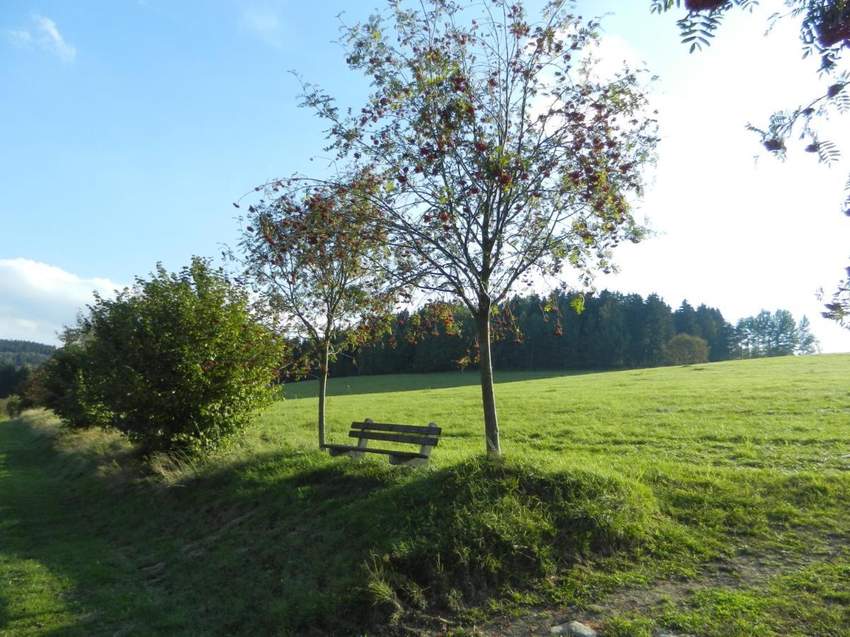 Waldgasthof & Hotel Am Sauwald Tannenberg Extérieur photo