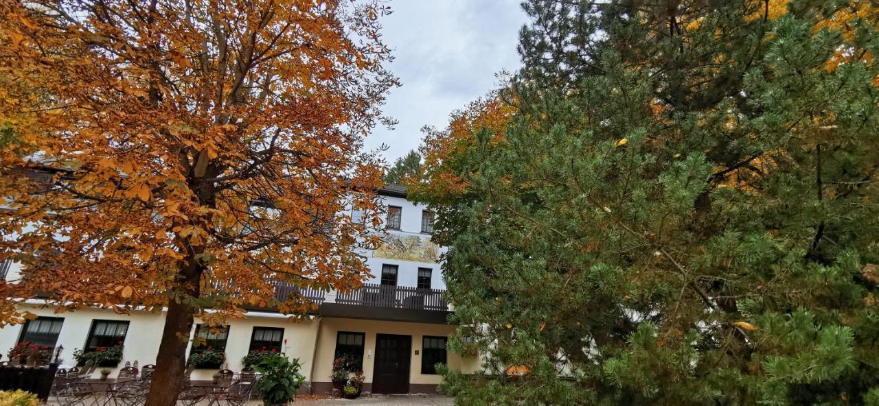 Waldgasthof & Hotel Am Sauwald Tannenberg Extérieur photo