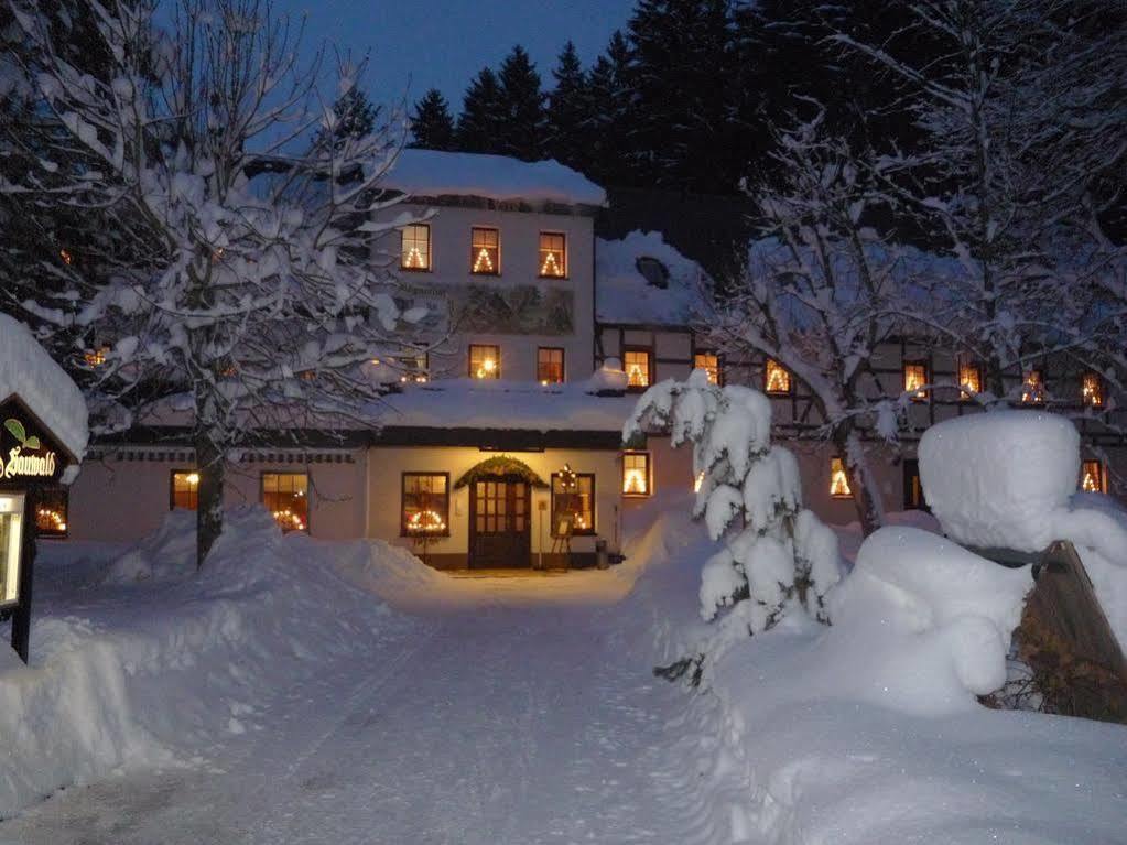 Waldgasthof & Hotel Am Sauwald Tannenberg Extérieur photo