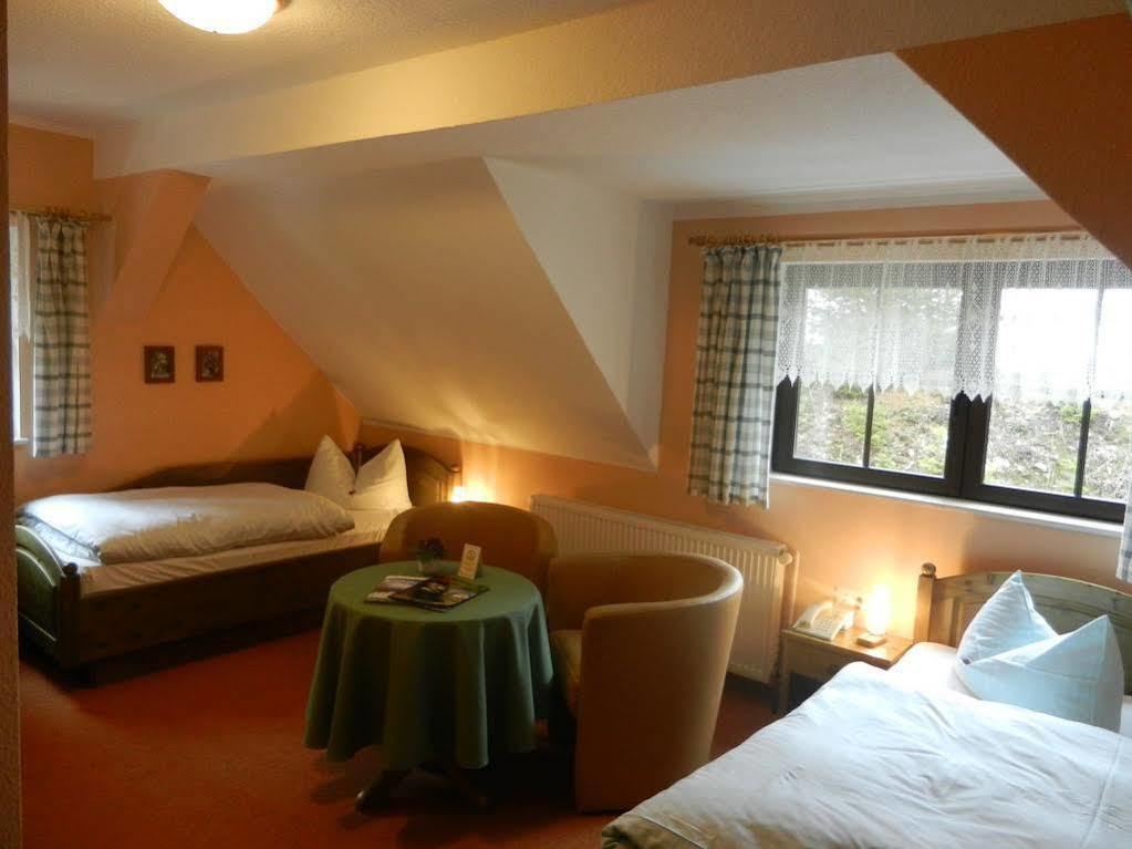 Waldgasthof & Hotel Am Sauwald Tannenberg Extérieur photo
