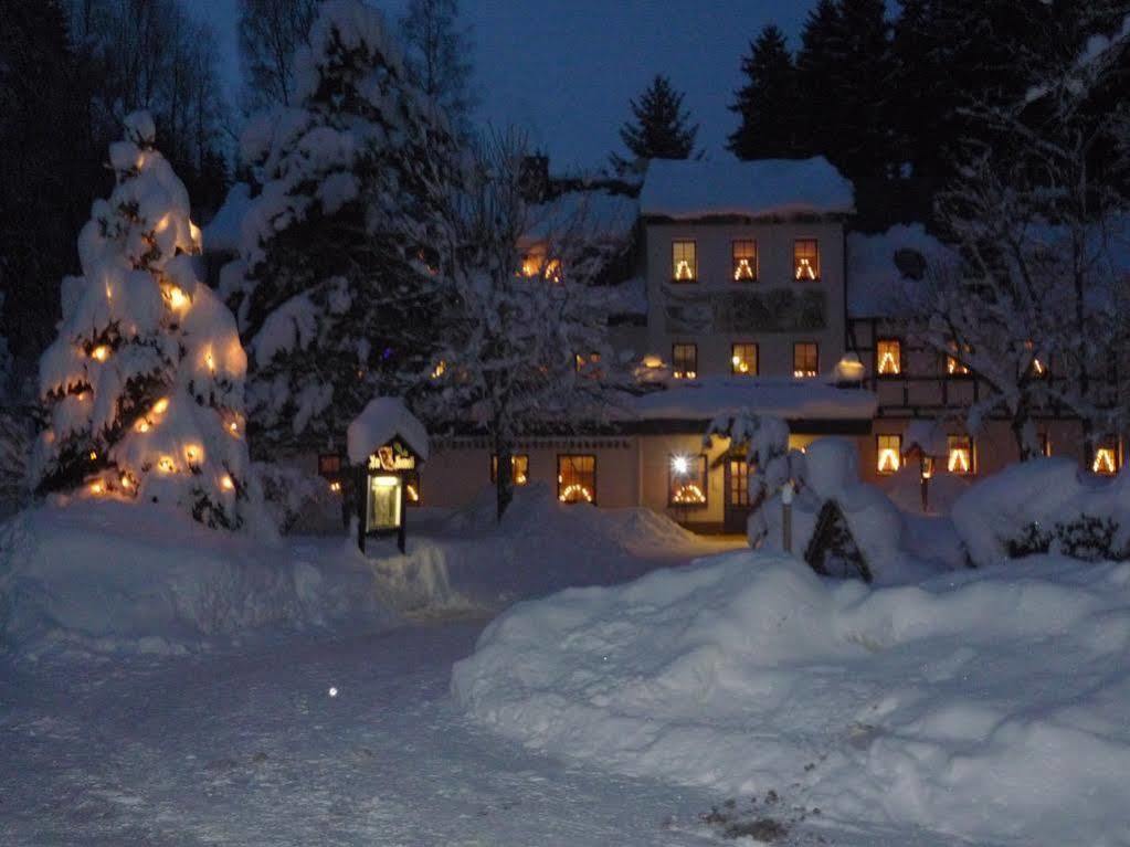 Waldgasthof & Hotel Am Sauwald Tannenberg Extérieur photo